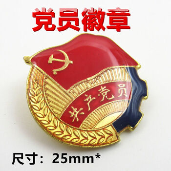仓梵党徽别针式胸针党员徽章为人民服务党徽套装中国国徽徽章蓝边党徽