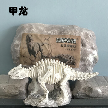 恐龙化石考古挖掘玩具大号霸王龙模型摆件儿童手工玩具礼物甲龙