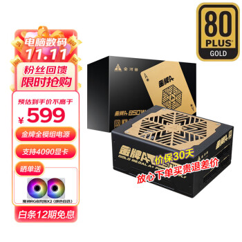 金河田（Golden field）额定850W 金牌A+全模组电脑电源（80PLUS金牌/智能温控/全日系电容/4090显卡支持）