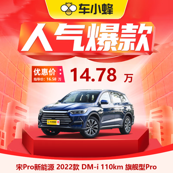 BYD 比亚迪 宋Pro新能源 2022款 DM-i 110km 旗舰型Pro 车小蜂汽车新车订金汽车用品类商品-全利兔-实时优惠快报