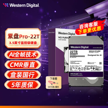 西部数据（WD） 紫盘Pro  SATA6Gb/s 7200转 台式机电脑安防监控机械硬盘 监控硬盘 垂直硬盘 台式硬盘 22TB 紫盘PRO【WD221PURP】