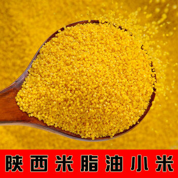 食品饮料>粮油调味>杂粮>小米>陕北米脂油小米黄小米新小米小米粥批发