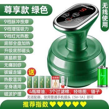红心电动刮痧仪器按摩器按摩仪负压经络刷吸痧真空拔火罐器家用罐疏通经络按摩仪磁疗拔罐艾灸 9档可调节 尊享绿（蓄电无线使用+4瓶精油+3个过滤棉）