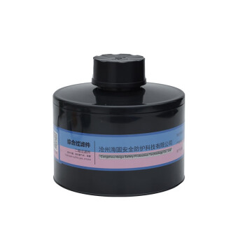 海固（HAIGU）Z-H2S-P2-2防毒面具滤毒罐