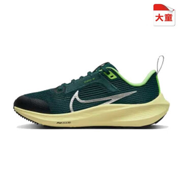 NIKE 耐克 AIR ZOOM PEGASUS 40运动鞋跑步鞋DX2498-301 DX2498-301 38.5运动户外类商品-全利兔-实时优惠快报