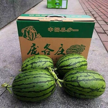 庞各庄西瓜l600袖珍西瓜现摘现发皮薄肉脆麒麟西瓜庞各庄l600吊瓜一箱