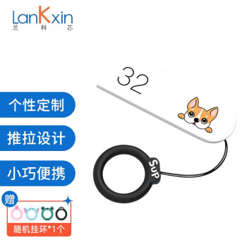 兰科芯（LanKxin）32G USB2.0 U盘 咕噜小狗可爱卡通女生礼品时尚推拉