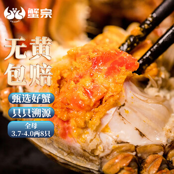蟹宗 大闸蟹 全母3.7-4.0两/只 8只装食品类商品-全利兔-实时优惠快报