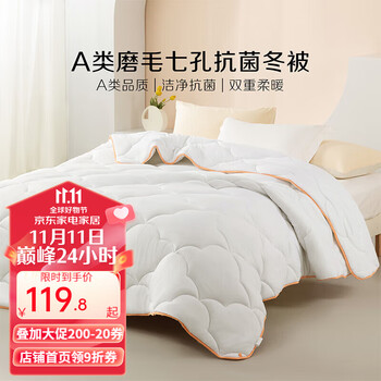 最后4小时、一夜入冬：BLISS 百丽丝 A类七孔透气纤维冬被 150*210cm全利兔-实时优惠快报