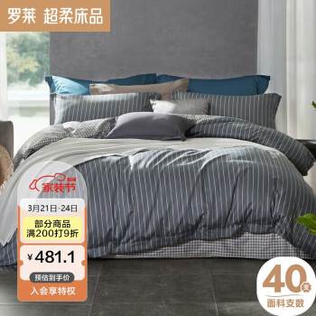 ҷ100%޴ļ ʱins紲˫׼ 220*250cm