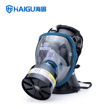 海固（HAIGU）HG-800全面罩防烟防毒套装E型滤烟防毒