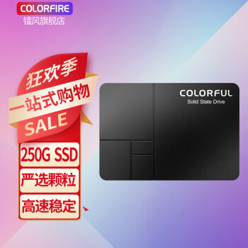 七彩虹（Colorful）固态硬盘SL500512G高速SL300台式机笔记本硬盘SATA3.0接口 SL500 250G【】主流型号 固态硬盘