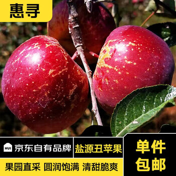 惠寻京东自有品牌 四川大凉山盐源丑苹果 新鲜水果时令孕妇脆甜冰糖心 9斤 【实惠中小果】60mm-65mm