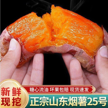 山东烟薯25号红薯糖心蜜甜薯烤红薯地瓜甜薯番薯精选好果 5斤（单果50-150g）食品类商品-全利兔-实时优惠快报
