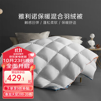 BLISS 百丽丝 雅利诺 混合羽绒冬被 200*230cm家具家装类商品-全利兔-实时优惠快报