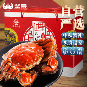 蟹宗 大闸蟹 公5.2-5.5两 母2.8-3.1两 4对8只食品类商品-全利兔-实时优惠快报