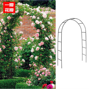 一瓣花瓣花架爬藤花支架杆铁线莲月季拱形拱门花架爬藤架攀爬绿植物