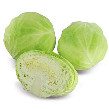 河南新鲜绿甘蓝非210斤5斤圆白菜农家卷心沙拉椰菜包菜蔬菜五斤包菜