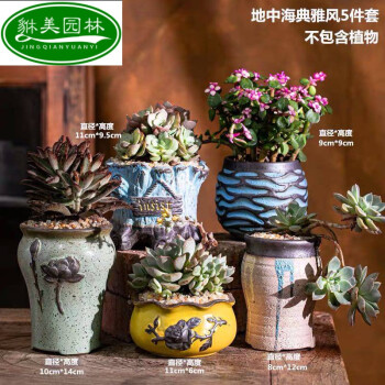 多肉花盆陶瓷批发粗陶创意多肉植物花盆大号紫砂肉肉小花盆栽 北欧