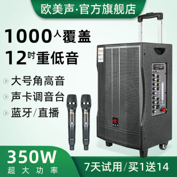 ŷ k質ֱƶרҵʹ㳡Яʽصڴ߻Ͳ 12Ӣص350W ͺV12 2ͷʽ+