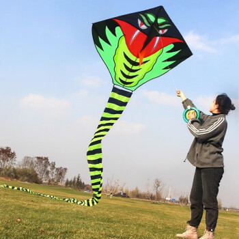 吉米兔（JIMITU） 长尾大风筝儿童易飞初学者大型成人大长青蛇形风筝儿童玩具 9米大青蛇＋200米线轮