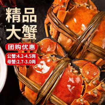 圣堂名钳 大闸蟹 公4.2-4.5两 母2.7-3.0两 8只食品类商品-全利兔-实时优惠快报