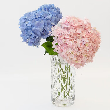 love 钟爱 云南昆明鲜花 中通-2枝绣球+5枝混色小菊全利兔-实时优惠快报