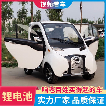 唐极推荐丽驰新能源电动四轮车汽车高速锂电代步车家用轿车小型可上牌