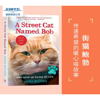 һֻбĽͷè Ӣԭ èbob Ӣİ A Street Cat Named Bob ԭ