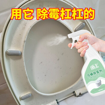 盾王 马桶盖除霉剂神器家用马桶防霉除霉污渍清洁去垢除霉斑 除霉防霉养护三效合一 500ml日用百货类商品-全利兔-实时优惠快报
