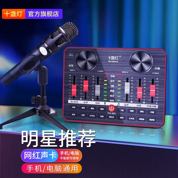 十盏灯 G系列-G1 调音台声卡套装主播直播设备全套手机电脑通用 录音棚唱歌快手喊麦专用 声卡套装【手持麦】绅士黑