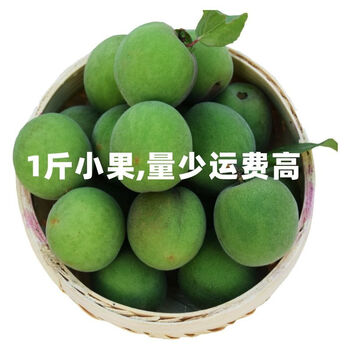 顺丰圆通深山青梅大果新鲜青梅鲜果生酸梅子水果泡酒云南农家自摘1斤