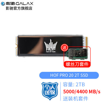 影驰（Galaxy）HOF名人堂 SSD固态硬盘 M.2接口(NVMe协议) PCI-E4.0 硬盘 HOF PRO 20 M.2 2T