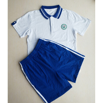 东莞校服东莞中学松山湖中学校服春夏冬装质量校服配松山湖校徽女短袖