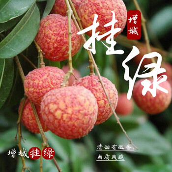 (顺丰空运)正宗增城二代挂绿荔枝 新鲜水果荔枝现摘现发 甄选挂绿荔枝