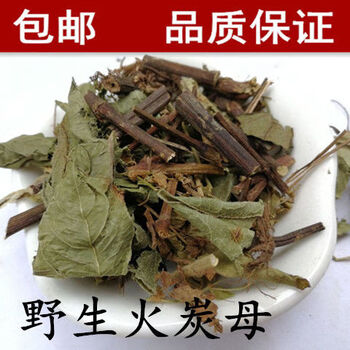 中药火炭母 中药材火炭星 火炭藤 白饭草白饭藤信饭藤