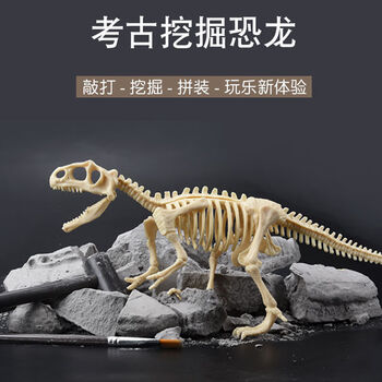 恐龙化石考古挖掘玩具一套恐龙化石儿童考古套装挖掘盲盒霸王龙骨架
