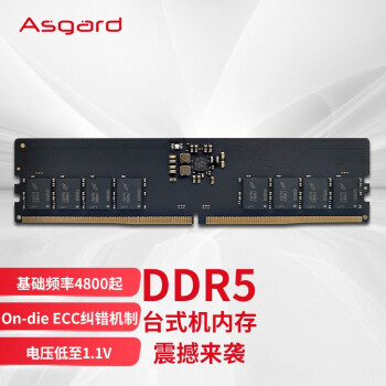 阿斯加特（Asgard）16GB  DDR5 4800 台式机内存条