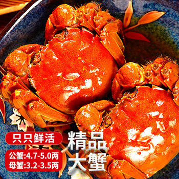 圣堂名钳 大闸蟹 公4.7-5.0两 母3.2-3.5两 8只食品类商品-全利兔-实时优惠快报