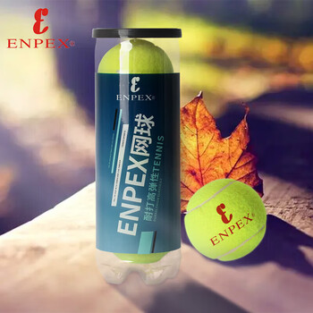 ENPEX 乐士 网球高弹耐磨比赛训练用网球塑通三粒A16运动户外类商品-全利兔-实时优惠快报