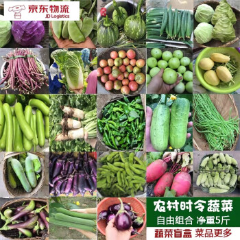 8斤新鲜蔬菜当季农家自种青菜无公害时令绿色野菜组合现摘混搭菜 5斤装