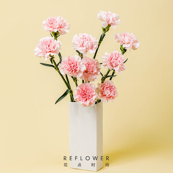 花点时间 单头康乃馨颜色随机20枝全利兔-实时优惠快报