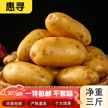 惠寻京东自有品牌 山东黄心土豆净重1.5kg 新鲜土豆马铃薯 产地直发