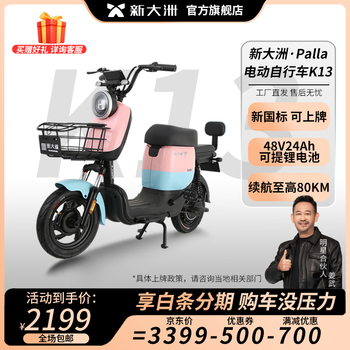 电动车自行车_PALLA 新大洲 K13 新国标电动车