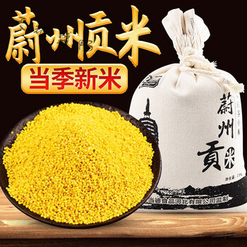 黄小米张家口蔚县小米桃花农家大白谷小黄米蔚州贡米月子米5斤装