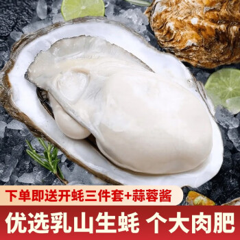 峰贝【活鲜】山东乳山生蚝 鲜活牡蛎海蛎子 刺身现捕现发海鲜水产贝类 3XL号净重4.5斤(约12-18只）