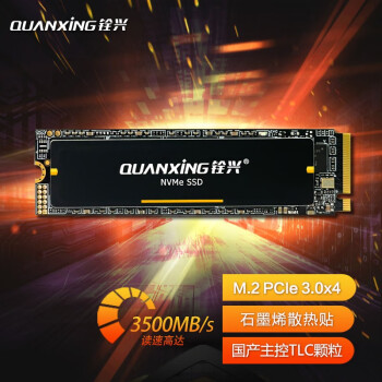 铨兴（QUANXING） M.2 2280 NVMe PCIe3.0x4 N301系列SSD固态硬盘 M.2 NVMe N301系列 1TB
