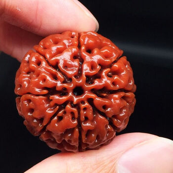 珍韵缘尼泊尔大金刚菩提手串菩提子原籽爆满肉红黄皮文玩佛珠手链6瓣