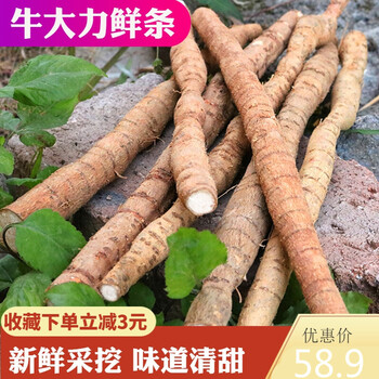 亏本卖啦牛大力新鲜整条粉薯500g克古大力金钟根野生中药材滋补煲汤