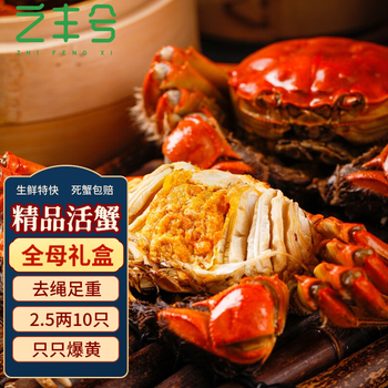 之丰兮鲜活母大闸蟹 礼盒装 全母蟹2.3-2.7两 10只装食品类商品-全利兔-实时优惠快报